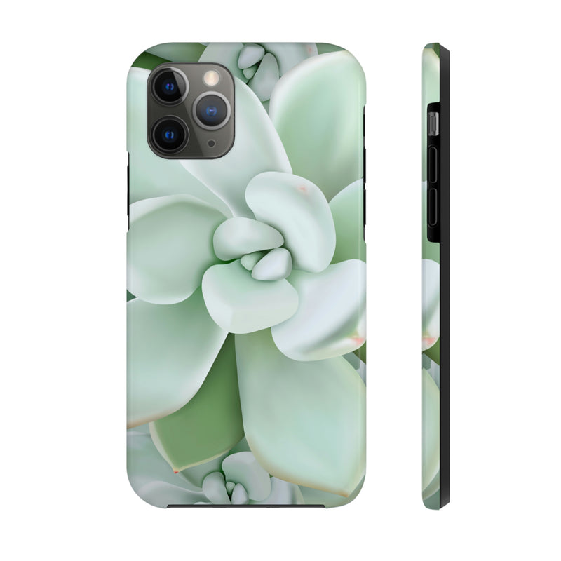 Pachyveria Haagei Succulent Phone Case, Phone Case, Printify, Accessories, Glossy, iPhone Cases, Matte, Phone accessory, Phone Cases, Samsung Cases, Laura Christine Photography & Design, laurachristinedesign.com