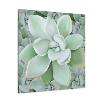 Pachyveria Haagei Succulent Pattern Canvas, Canvas, Printify, Art & Wall Decor, Canvas, Hanging Hardware, Home & Living, Indoor, Laura Christine Photography & Design, laurachristinedesign.com