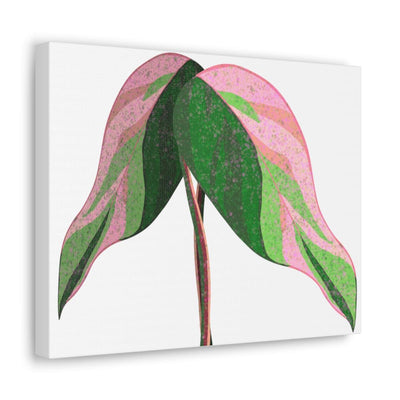 Pink Princess Philodendron Canvas, Canvas, Laura Christine Photography & Design, Art & Wall Decor, Canvas, Hanging Hardware, Home & Living, Indoor, Laura Christine Photography & Design, 