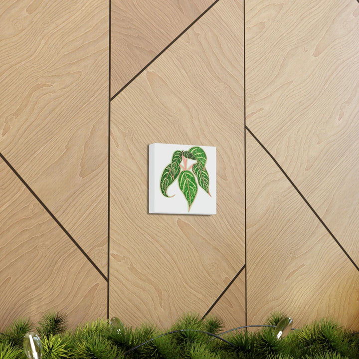 Aglaonema Plant Canvas | Sparkling Plant Artwork - Colorfast Canvas Art Print Decor