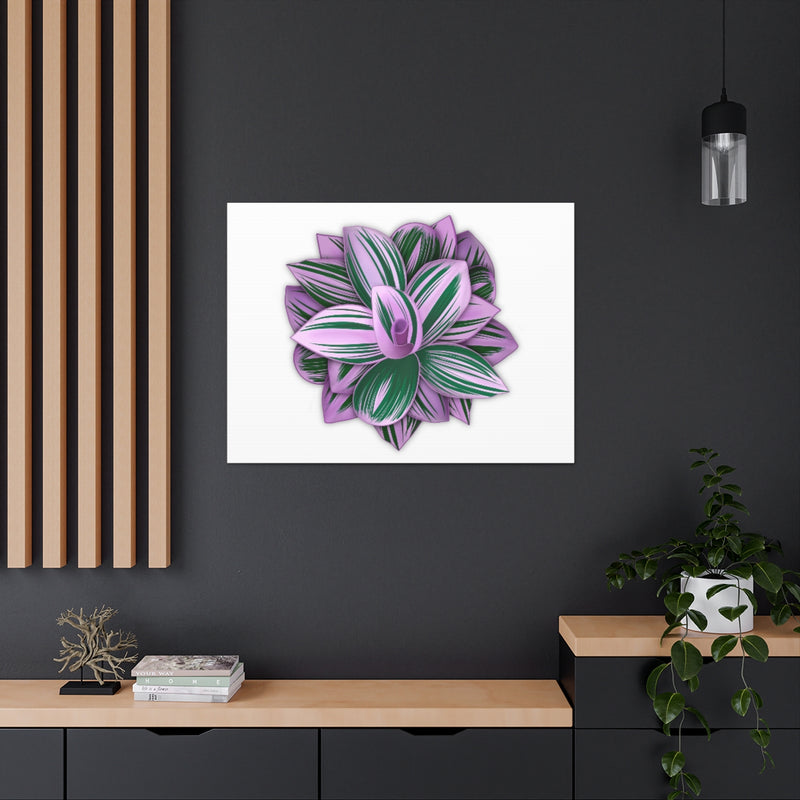 Tradescantia Nanouk Canvas