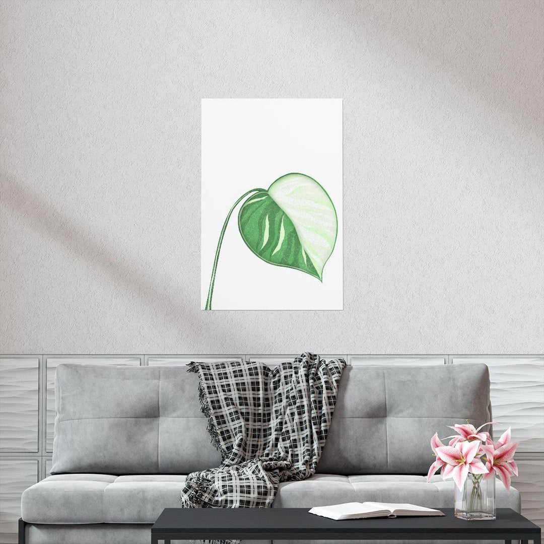 Monstera Albo Print, Poster, Laura Christine Photography & Design, Back to School, Home & Living, Indoor, Matte, Paper, Posters, Valentine's Day promotion, Laura Christine Photography & Design, 