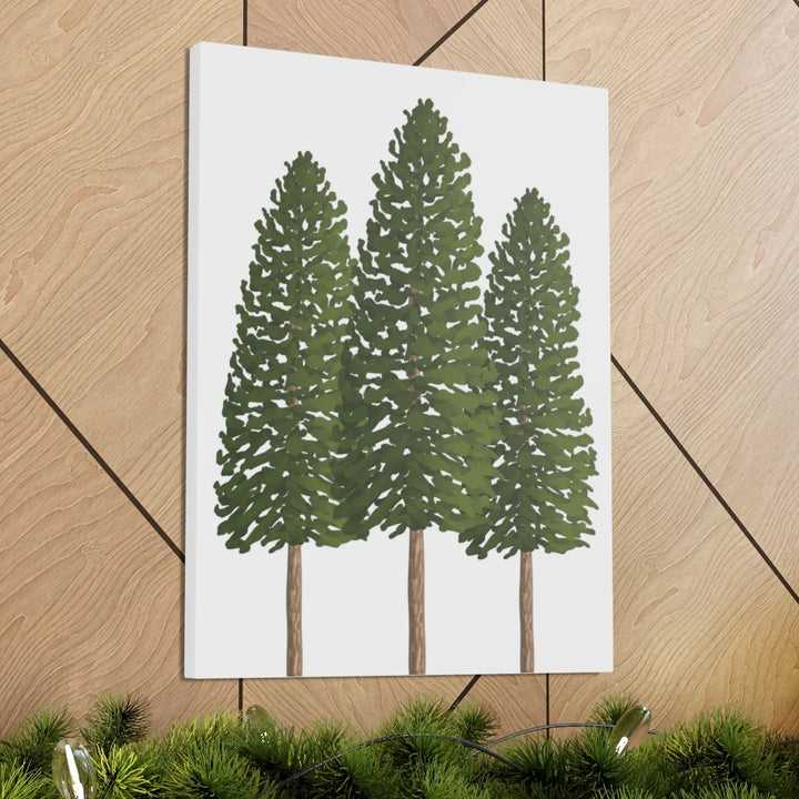 Ponderosa Pine Canvas - Large Stretched Cotton Canvas Art Print With Matte Finish