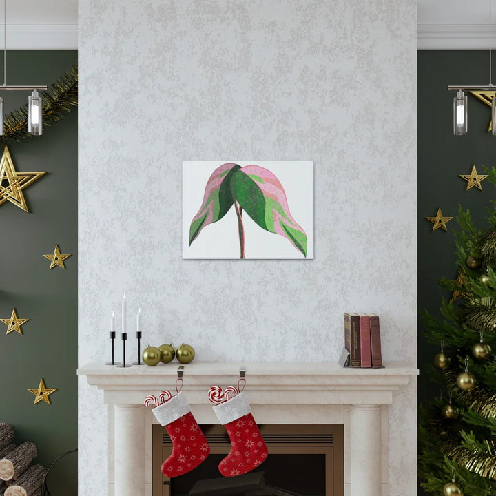 Pink Princess Philodendron Canvas Art Print – Botanical Wall Decor | Matte Finish