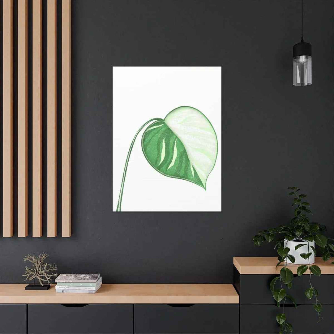 Monstera Albo Canvas | Large Tropical Leaf Artwork - Matte Finish Canvas Art Print