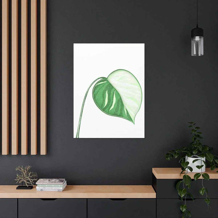 Monstera Albo Canvas | Large Tropical Leaf Artwork - Matte Finish Canvas Art Print