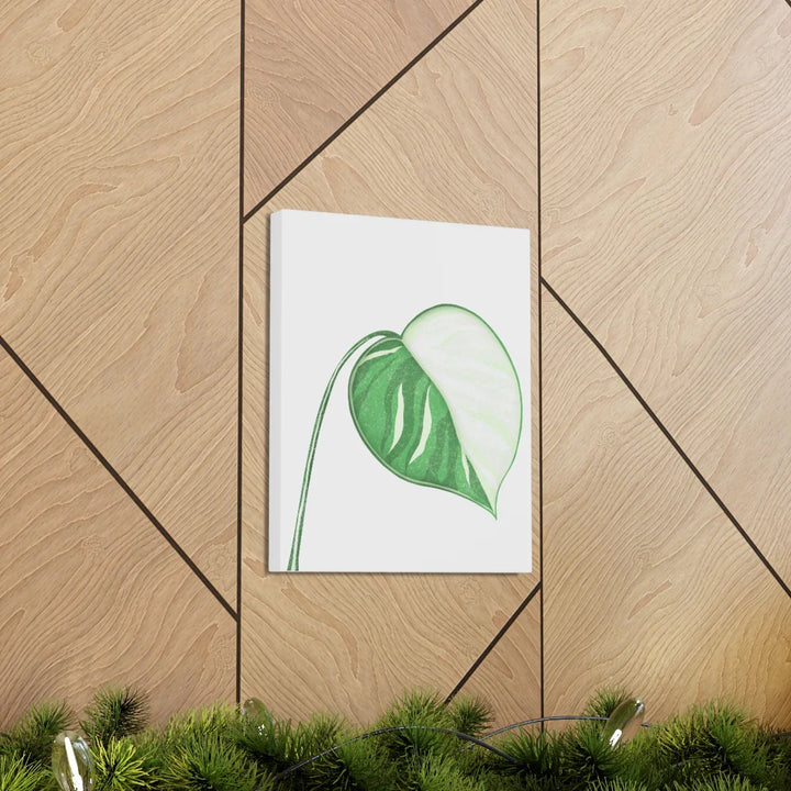Monstera Albo Canvas | Large Tropical Leaf Artwork - Matte Finish Canvas Art Print - Laura Christine Photography & Design