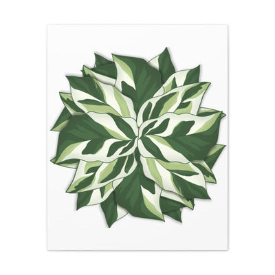 Calathea White Fusion Canvas, Canvas, Laura Christine Photography & Design, Art & Wall Decor, Canvas, Hanging Hardware, Home & Living, Indoor, Laura Christine Photography & Design, 