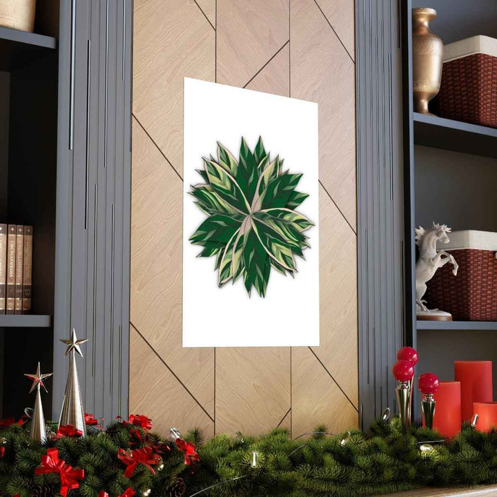 Stromanthe Triostar Print – Tropical Wall Art | Botanical Poster on Museum Grade Paper Unframed