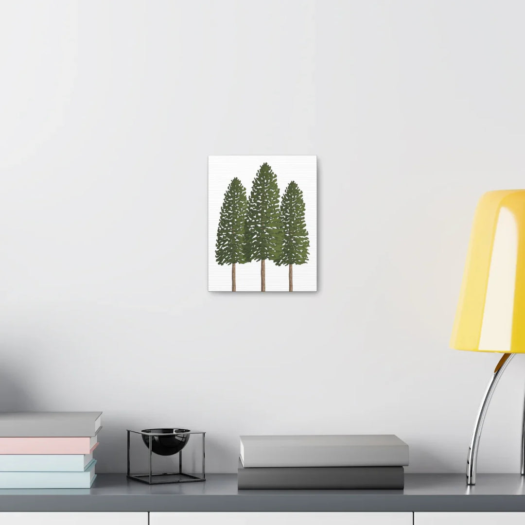 Ponderosa Pine Canvas - Large Stretched Cotton Canvas Art Print With Matte Finish