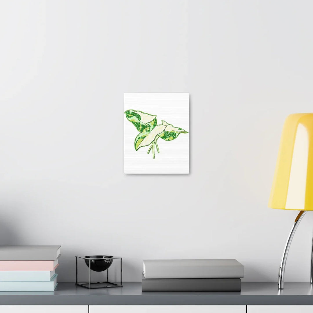 Marble Syngonium Canvas - Botanical Canvas Art Print | Durable Cotton Matte Finish - Laura Christine Photography & Design