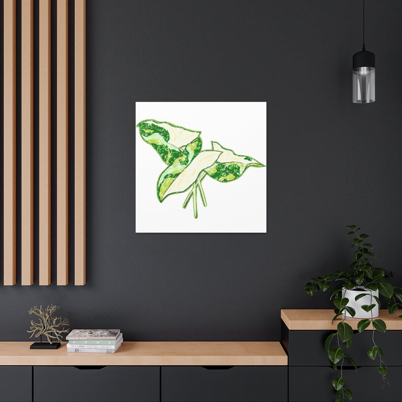 Marble Syngonium Canvas