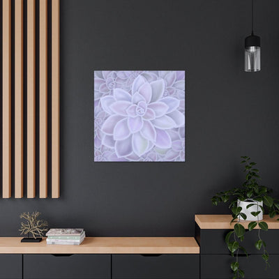 Graptopetalum 'Murasaki' Succulent Canvas, Canvas, Laura Christine Photography & Design, Art & Wall Decor, Canvas, Hanging Hardware, Home & Living, Indoor, Laura Christine Photography & Design, laurachristinedesign.com