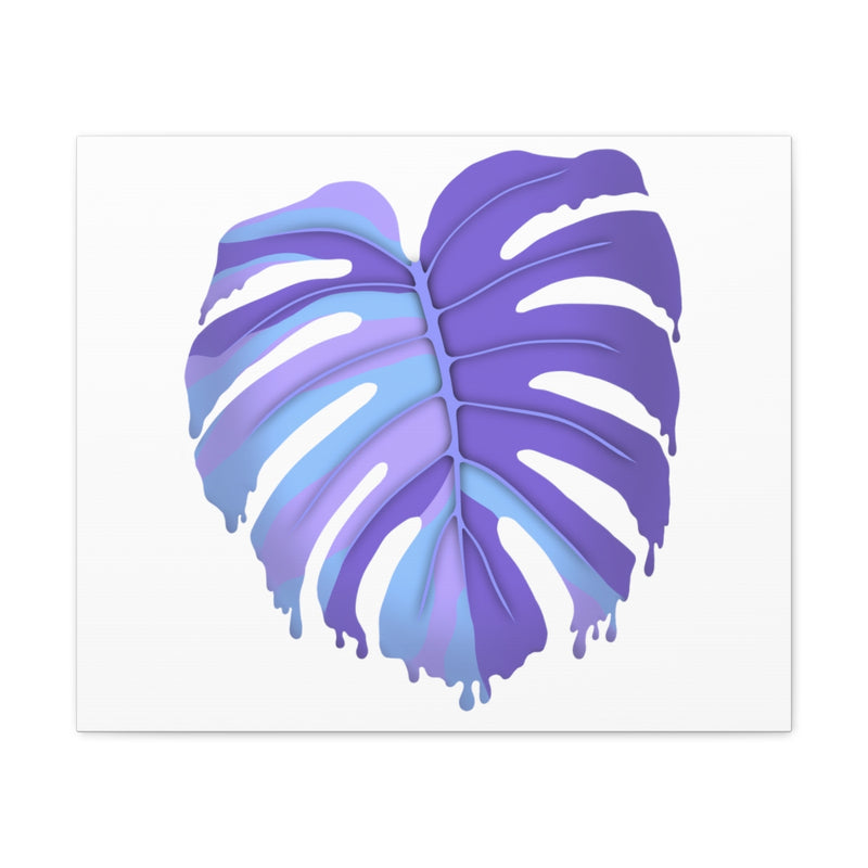 融化的龟背竹，紫色 - 帆布