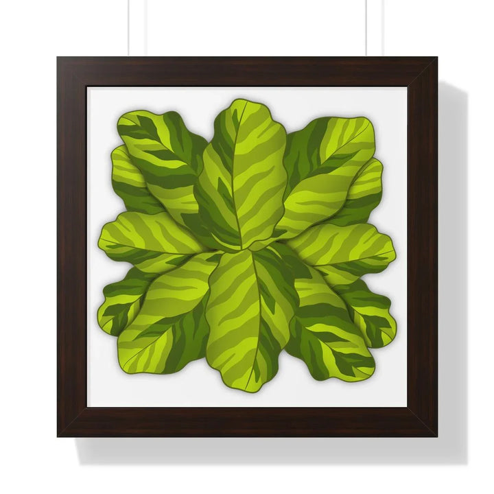 Calathea Yellow Fusion Framed Print, Poster, Laura Christine Photography & Design, Bottle, Calathea, Canvas Bag, Coffee, Drinkware, Framed, Home & Living, Indoor, Paper, Posters, Prayer Plant, Reusable, Shopping Bag, Tea, Tote Bag, Travel, Tumbler, Water, Yellow Fusion, Laura Christine Photography & Design, laurachristinedesign.com