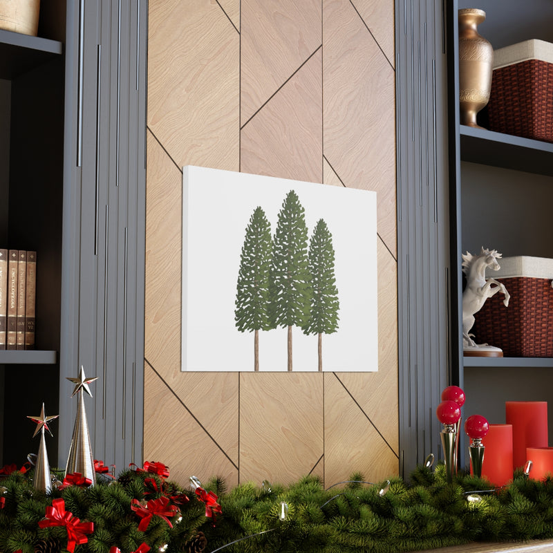 Ponderosa Pine Canvas