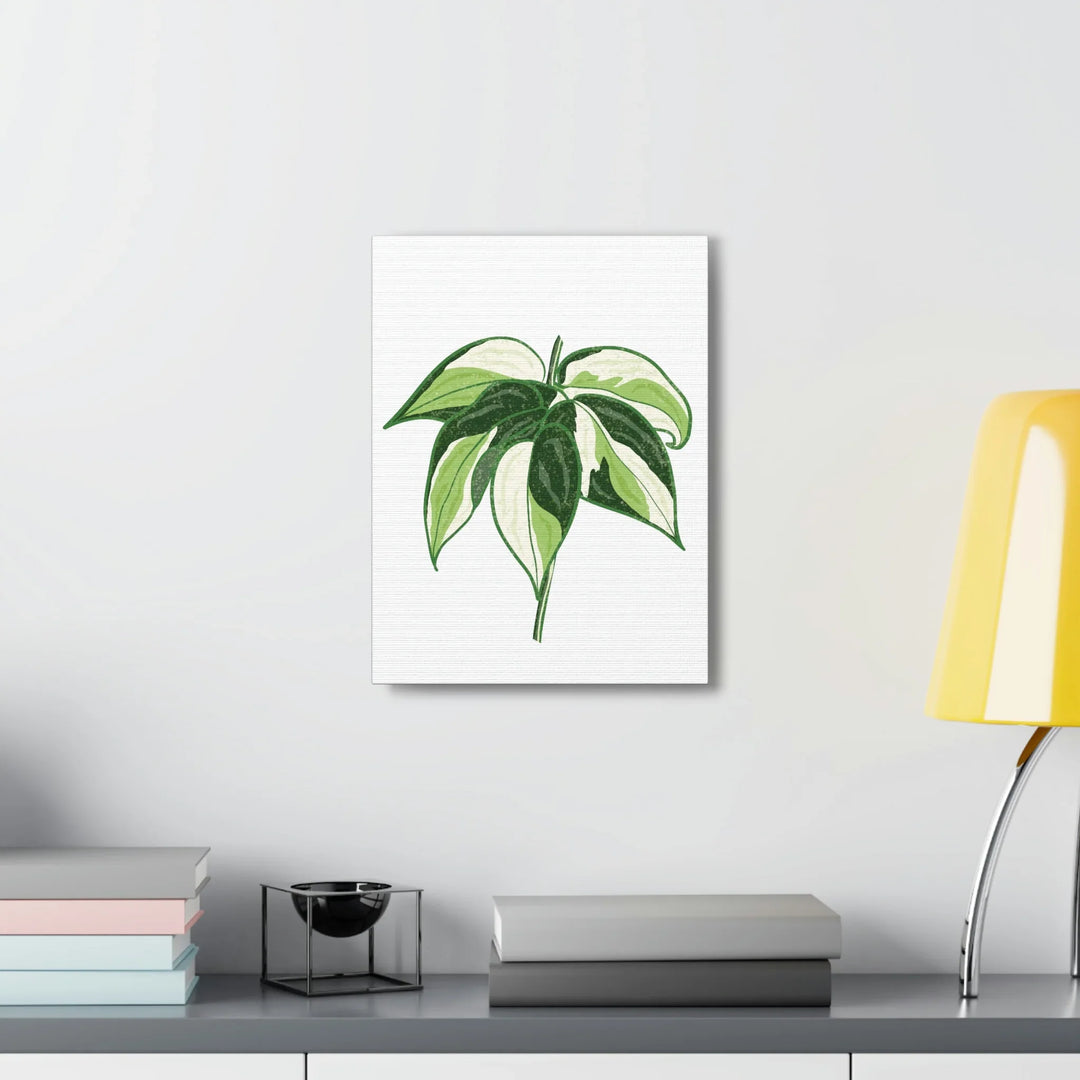 Philodendron Canvas Print - Cream Splash Variegated Plant Art on Matte Cotton Canvas