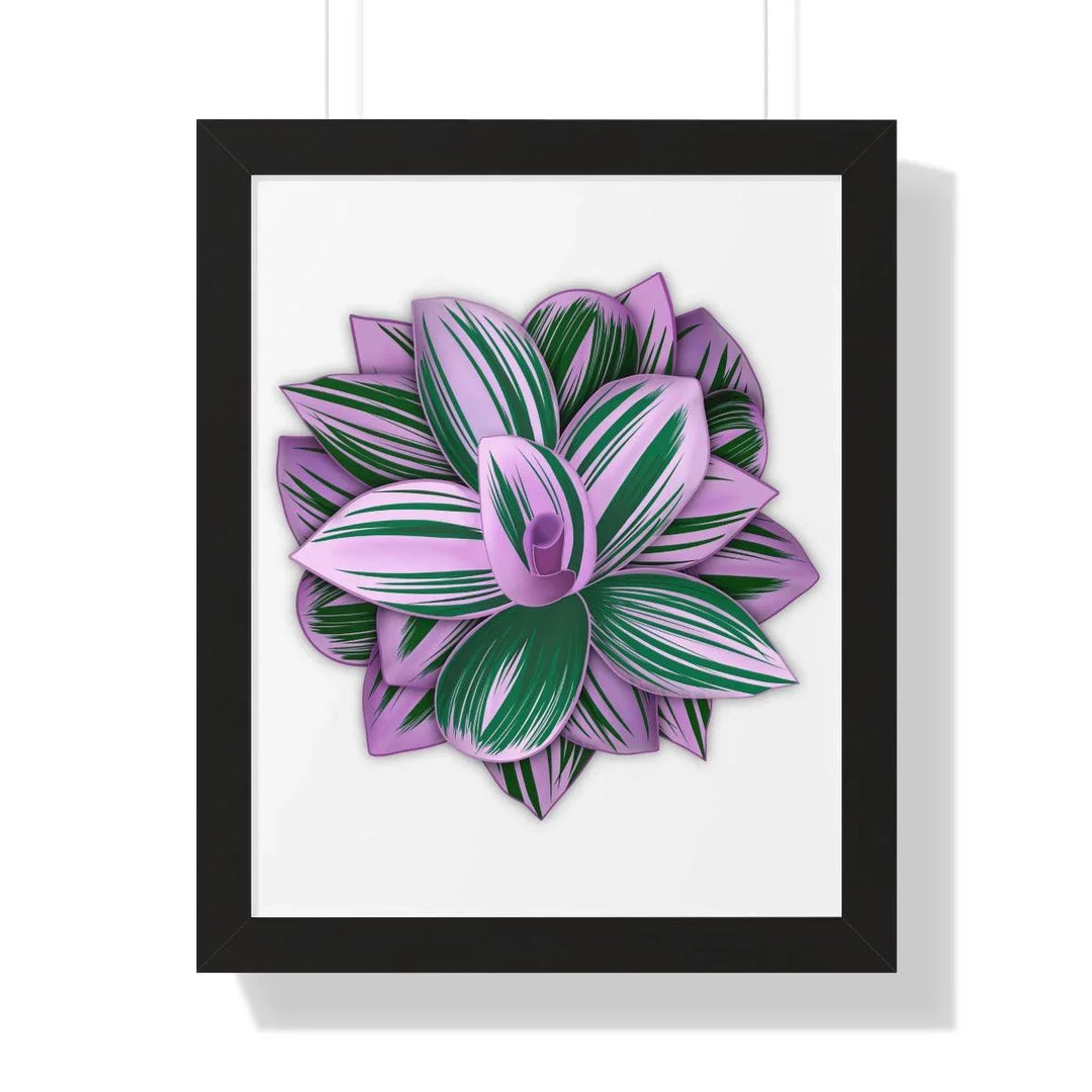 Tradescantia Nanouk Framed Print, Poster, Laura Christine Photography & Design, Framed, Home & Living, Indoor, Paper, Posters, Laura Christine Photography & Design, laurachristinedesign.com