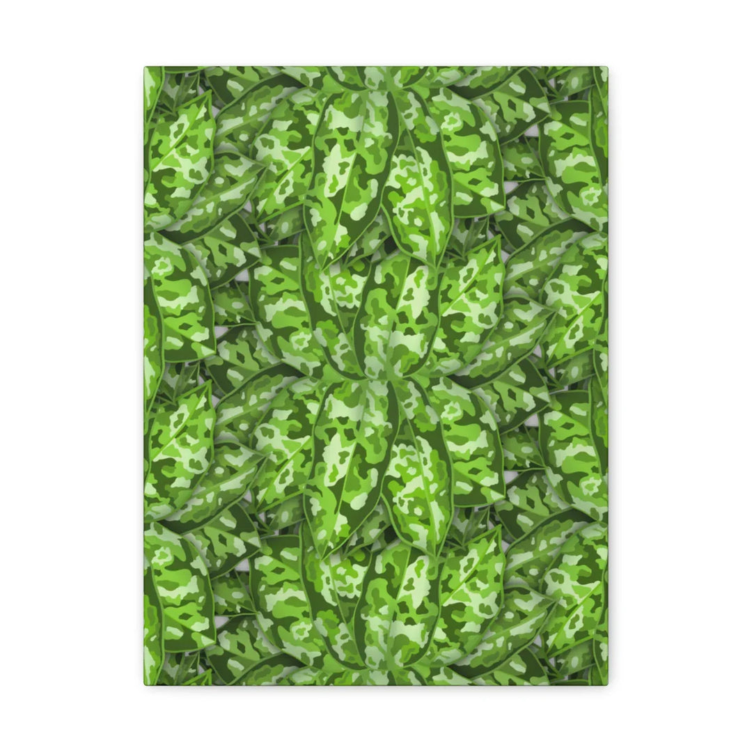Aglaonema Pictum Canvas - Rare Camouflage Leaf Print Canvas Art Print