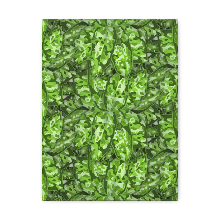 Aglaonema Pictum Canvas - Rare Camouflage Leaf Print Canvas Art Print