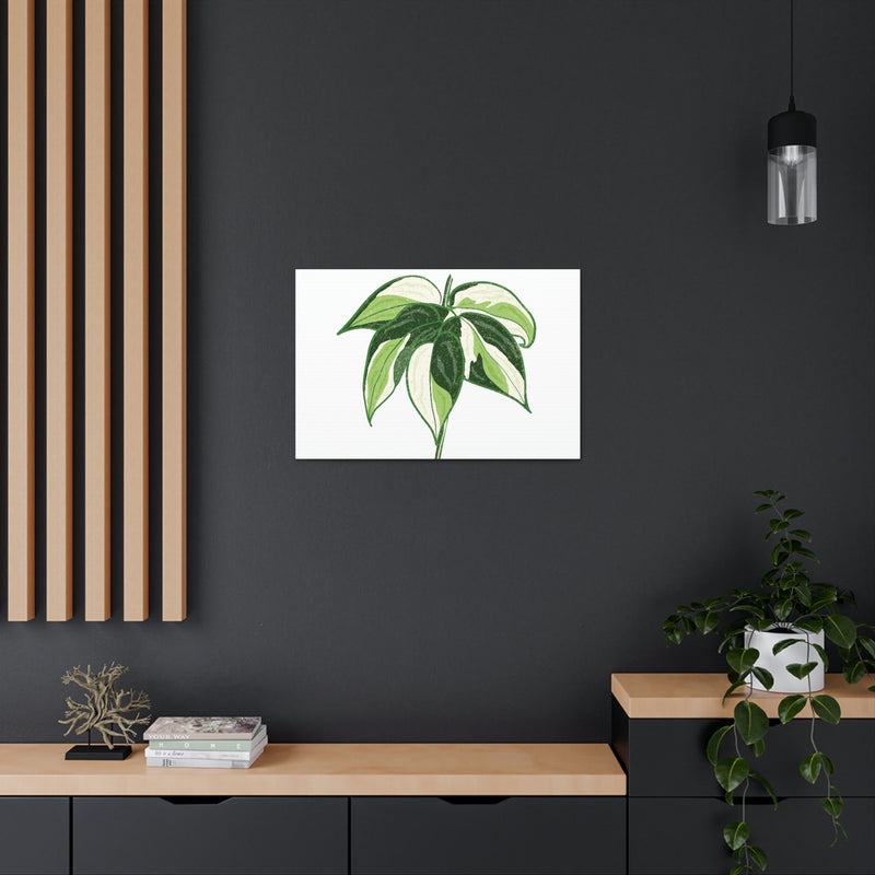 Lienzo Philodendron &