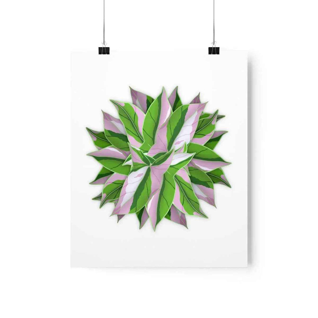 Tricolor Syngonium Print - Botanical Poster on Museum Grade Paper | Archival Ink Unframed