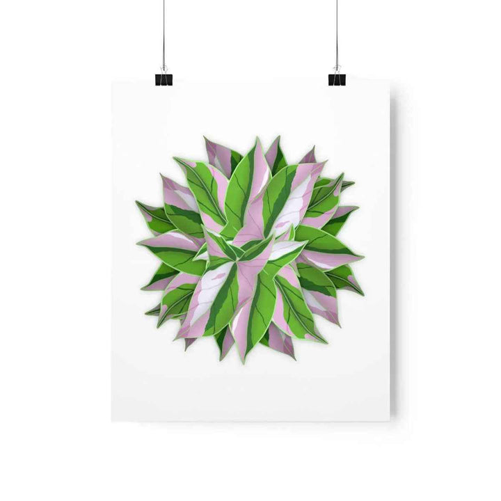 Tricolor Syngonium Print - Botanical Poster on Museum Grade Paper | Archival Ink Unframed