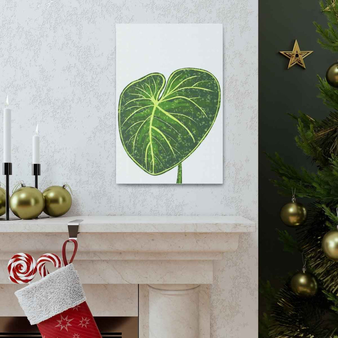 Philodendron Gloriosum Canvas - Stretched Canvas Art Print | Matte Indoor Wall Art