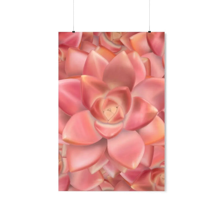 Graptosedum 'California Sunset'  Succulent Print, Poster, Laura Christine Photography & Design, Back to School, Home & Living, Indoor, Matte, Paper, Posters, Valentine's Day promotion, Laura Christine Photography & Design, laurachristinedesign.com