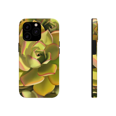 Noble Aeonium Succulent Phone Case, Phone Case, Printify, Accessories, Glossy, iPhone Cases, Matte, Phone accessory, Phone Cases, Samsung Cases, Laura Christine Photography & Design, laurachristinedesign.com