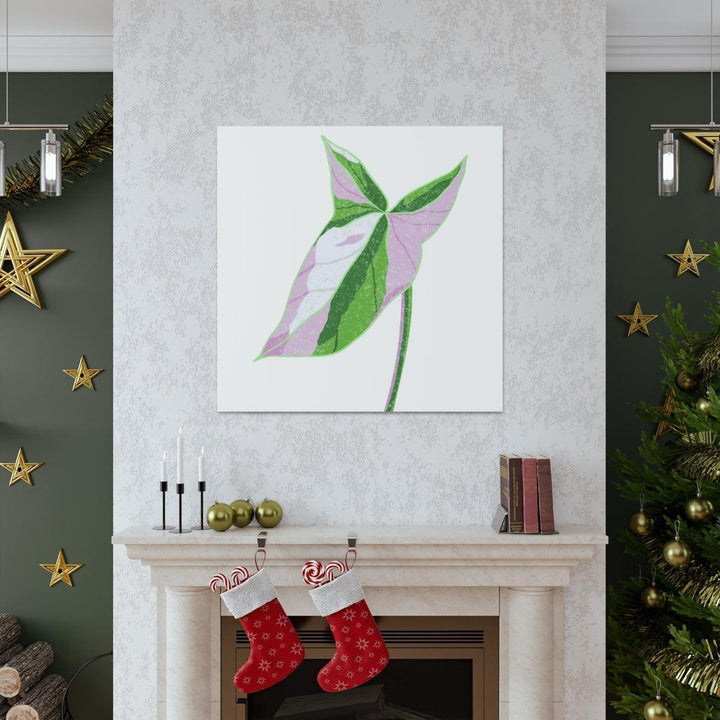 Syngonium Tricolor Canvas | Botanical Canvas Art Print With Matte Finish - Laura Christine Photography & Design