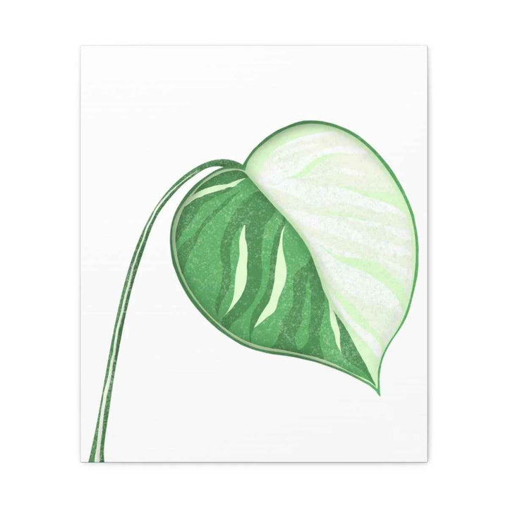 Monstera Albo Canvas | Large Tropical Leaf Artwork - Matte Finish Canvas Art Print