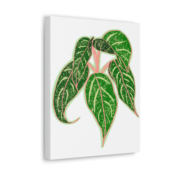 Aglaonema Plant Canvas | Sparkling Plant Artwork - Colorfast Canvas Art Print Decor