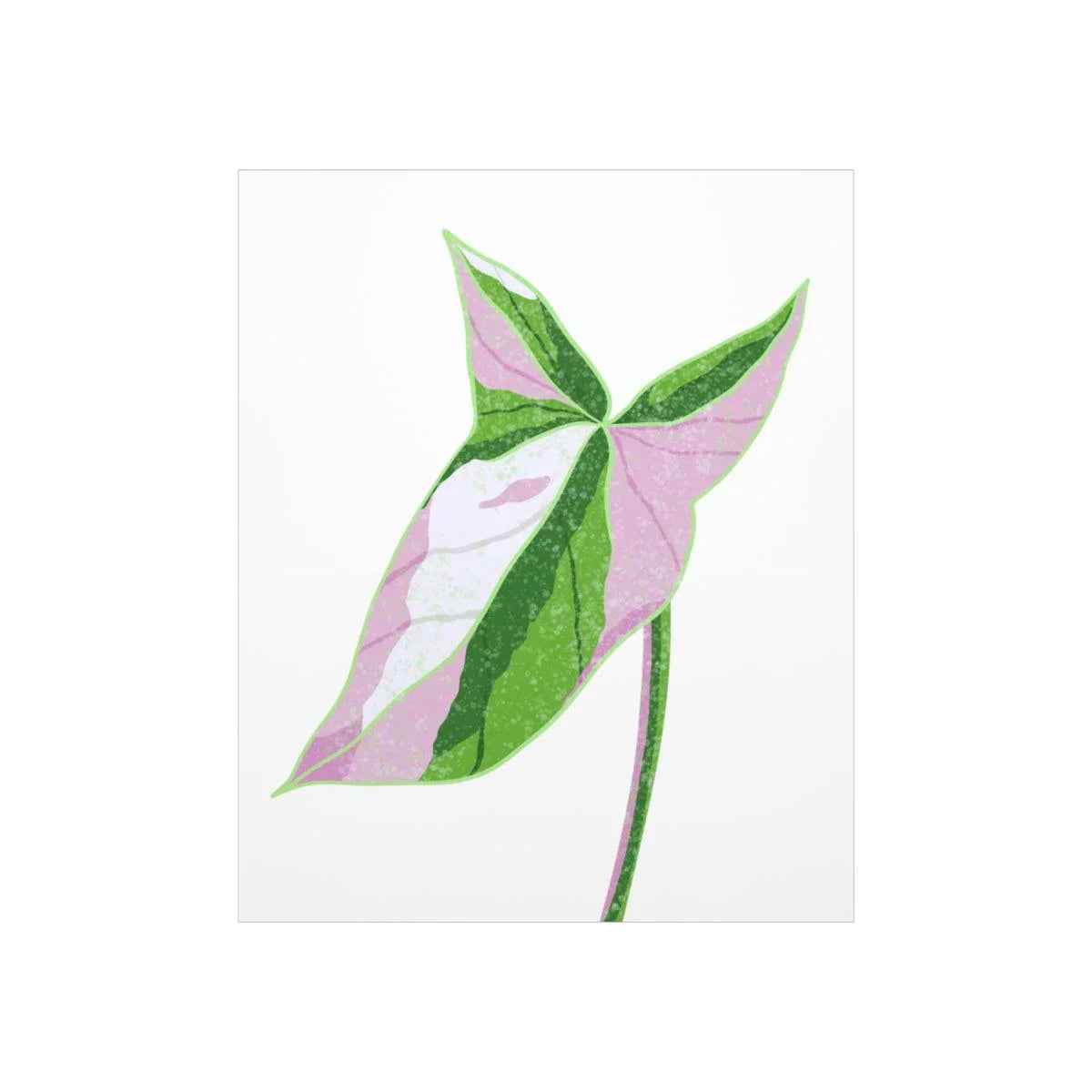 Syngonium Tricolor Print – Botanical Wall Art | Variegated Leaf Poster Unframed