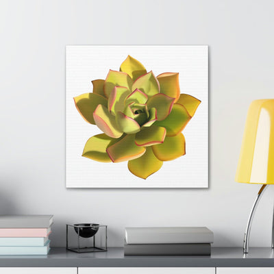 Noble Aeonium Succulent Canvas, Canvas, Printify, Art & Wall Decor, Canvas, Hanging Hardware, Home & Living, Indoor, Laura Christine Photography & Design, laurachristinedesign.com