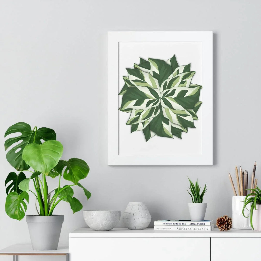 Calathea White Fusion Framed Print, Poster, Laura Christine Photography & Design, Bottle, Calathea, Canvas Bag, Coffee, Drinkware, Framed, Home & Living, Indoor, Paper, Posters, Prayer Plant, Reusable, Shopping Bag, Tea, Tote Bag, Travel, Tumbler, Water, White Fusion, Laura Christine Photography & Design, laurachristinedesign.com