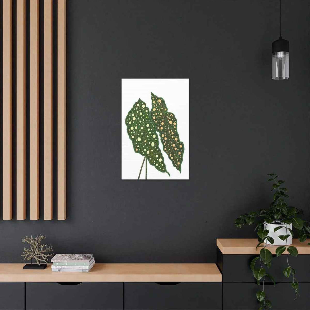 Begonia Maculata Canvas | Premium Canvas Art Print - Matte Finish, Durable Wall Decor