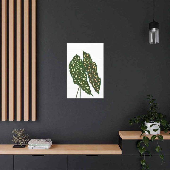 Begonia Maculata Canvas | Premium Canvas Art Print - Matte Finish, Durable Wall Decor