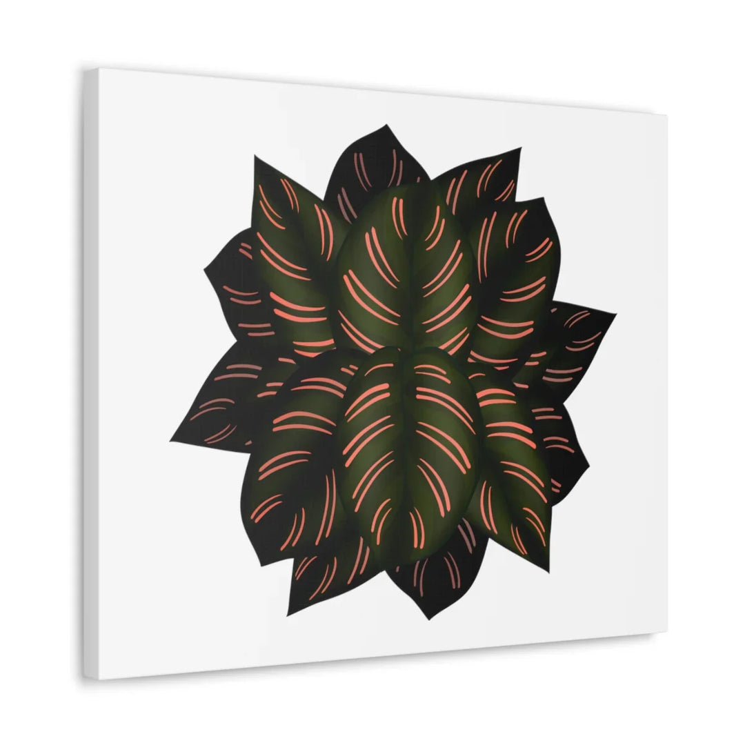 Calathea Pinstripe Canvas – Botanical Canvas Art Print | Matte Finish Wall Decor