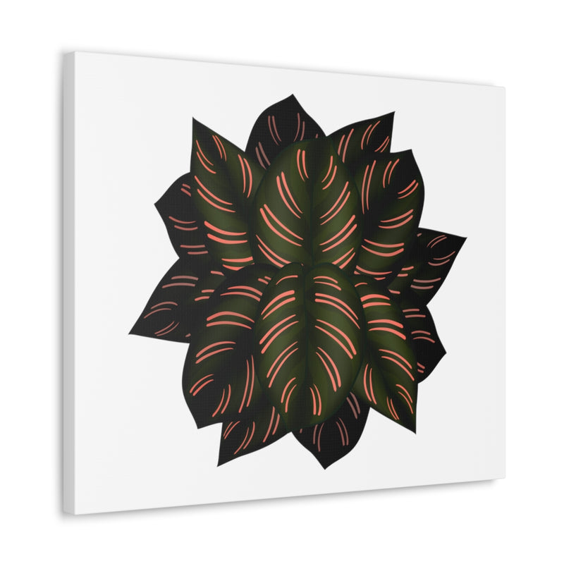 Calathea Pinstripe Canvas