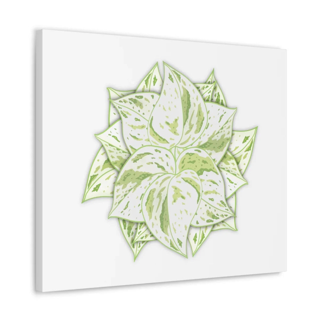 Snow Queen Pothos Canvas – Variegated Leaf Canvas Art Print | Durable Cotton - Laura Christine Photography & Design