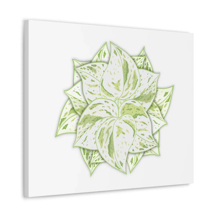 Snow Queen Pothos Canvas – Variegated Leaf Canvas Art Print | Durable Cotton - Laura Christine Photography & Design