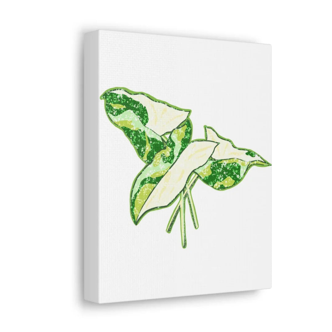 Marble Syngonium Canvas - Botanical Canvas Art Print | Durable Cotton Matte Finish - Laura Christine Photography & Design