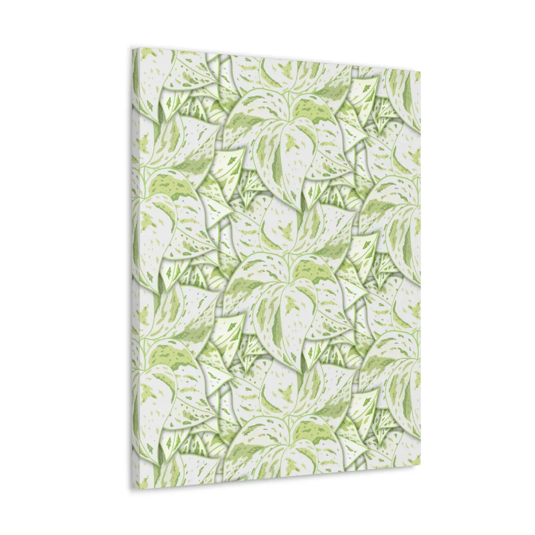 Snow Queen Pothos Canvas – Matte Finish Canvas Art Print | Variegated Botanical Wall Decor