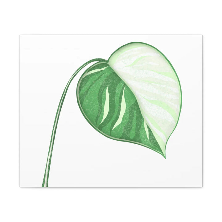 Monstera Albo Canvas | Large Tropical Leaf Artwork - Matte Finish Canvas Art Print - Laura Christine Photography & Design