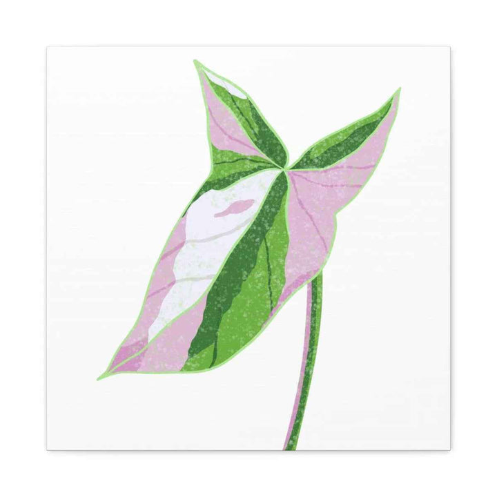 Syngonium Tricolor Canvas | Botanical Canvas Art Print With Matte Finish