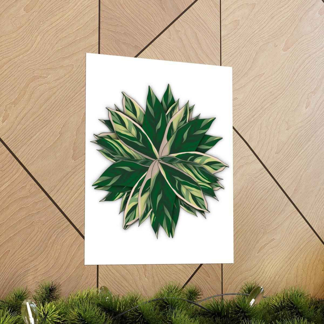 Stromanthe Triostar Print – Tropical Wall Art | Botanical Poster on Museum Grade Paper Unframed
