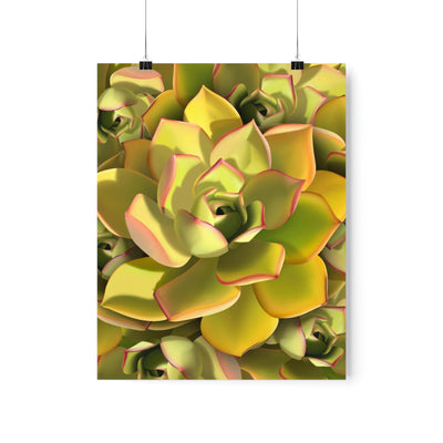 Noble Aeonium Succulent Pattern Print, Poster, Printify, Back to School, Home & Living, Indoor, Matte, Paper, Posters, Valentine's Day promotion, Laura Christine Photography & Design, laurachristinedesign.com