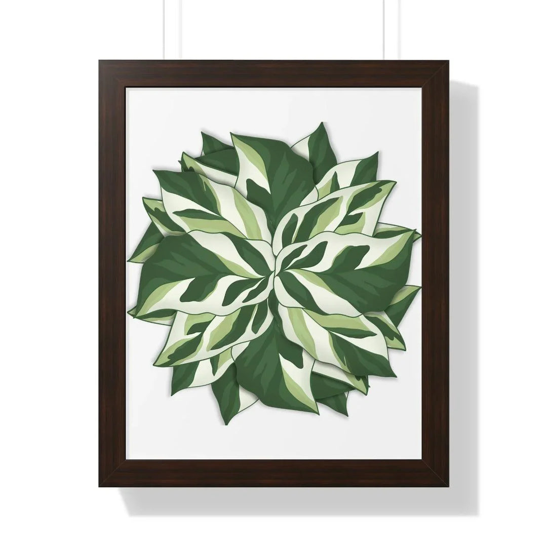 Calathea White Fusion Framed Print, Poster, Laura Christine Photography & Design, Bottle, Calathea, Canvas Bag, Coffee, Drinkware, Framed, Home & Living, Indoor, Paper, Posters, Prayer Plant, Reusable, Shopping Bag, Tea, Tote Bag, Travel, Tumbler, Water, White Fusion, Laura Christine Photography & Design, laurachristinedesign.com