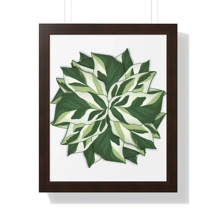 Calathea White Fusion Framed Print, Poster, Laura Christine Photography & Design, Bottle, Calathea, Canvas Bag, Coffee, Drinkware, Framed, Home & Living, Indoor, Paper, Posters, Prayer Plant, Reusable, Shopping Bag, Tea, Tote Bag, Travel, Tumbler, Water, White Fusion, Laura Christine Photography & Design, laurachristinedesign.com